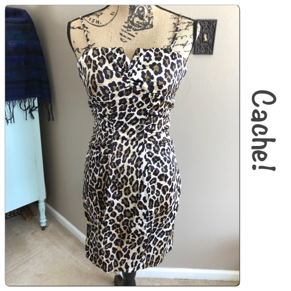 Cache Dresses & Skirts - Sexy Cache Leopard Print Dress